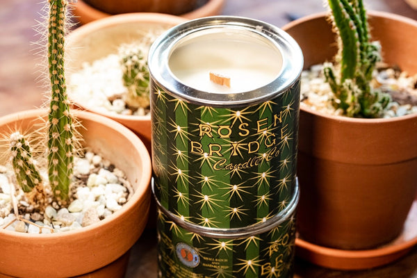 ROSEN BRIDGE Candle Cactus